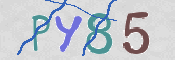 この文字を入力してください