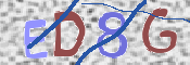 この文字を入力してください