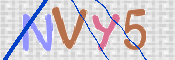 この文字を入力してください
