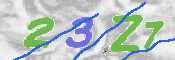 この文字を入力してください