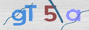 この文字を入力してください