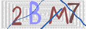 この文字を入力してください