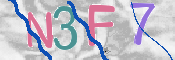 この文字を入力してください