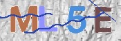 この文字を入力してください