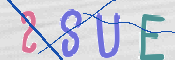 この文字を入力してください