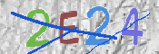 この文字を入力してください
