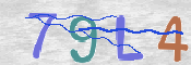 この文字を入力してください