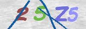 この文字を入力してください