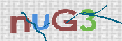 この文字を入力してください
