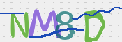 この文字を入力してください