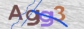 この文字を入力してください