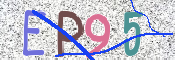 この文字を入力してください