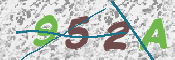 この文字を入力してください
