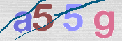 この文字を入力してください