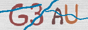 この文字を入力してください