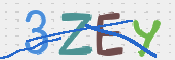 この文字を入力してください