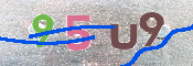 この文字を入力してください