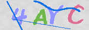 この文字を入力してください