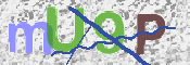 この文字を入力してください