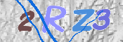 この文字を入力してください