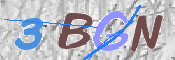 この文字を入力してください