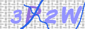 この文字を入力してください