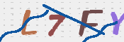 この文字を入力してください