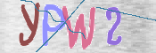 この文字を入力してください