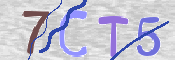 この文字を入力してください