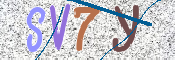 この文字を入力してください