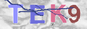 この文字を入力してください