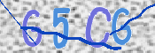 この文字を入力してください