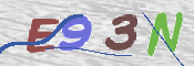 この文字を入力してください