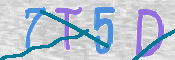 この文字を入力してください
