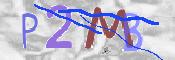 この文字を入力してください