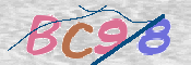 この文字を入力してください