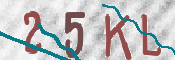 この文字を入力してください