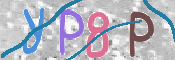 この文字を入力してください
