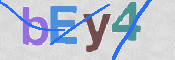 この文字を入力してください