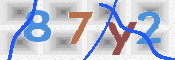 この文字を入力してください