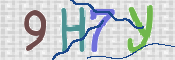 この文字を入力してください