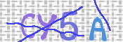 この文字を入力してください