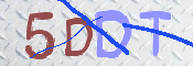 この文字を入力してください
