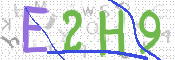 この文字を入力してください
