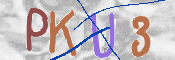 この文字を入力してください
