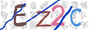 この文字を入力してください