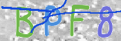 この文字を入力してください
