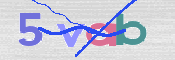 この文字を入力してください