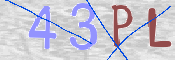 この文字を入力してください