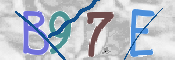 この文字を入力してください